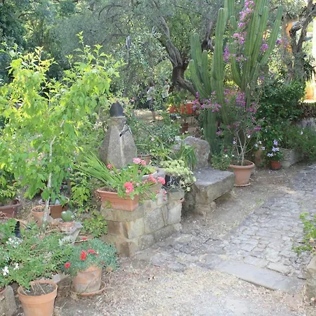 Calagioli 3*