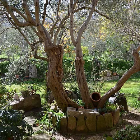 Calagioli Castelbuono (Sicily)