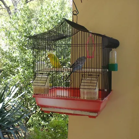 Bed & Breakfast Calagioli *